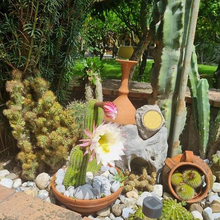 Il Ruscello Bed & Breakfast Maratea Ngoại thất bức ảnh