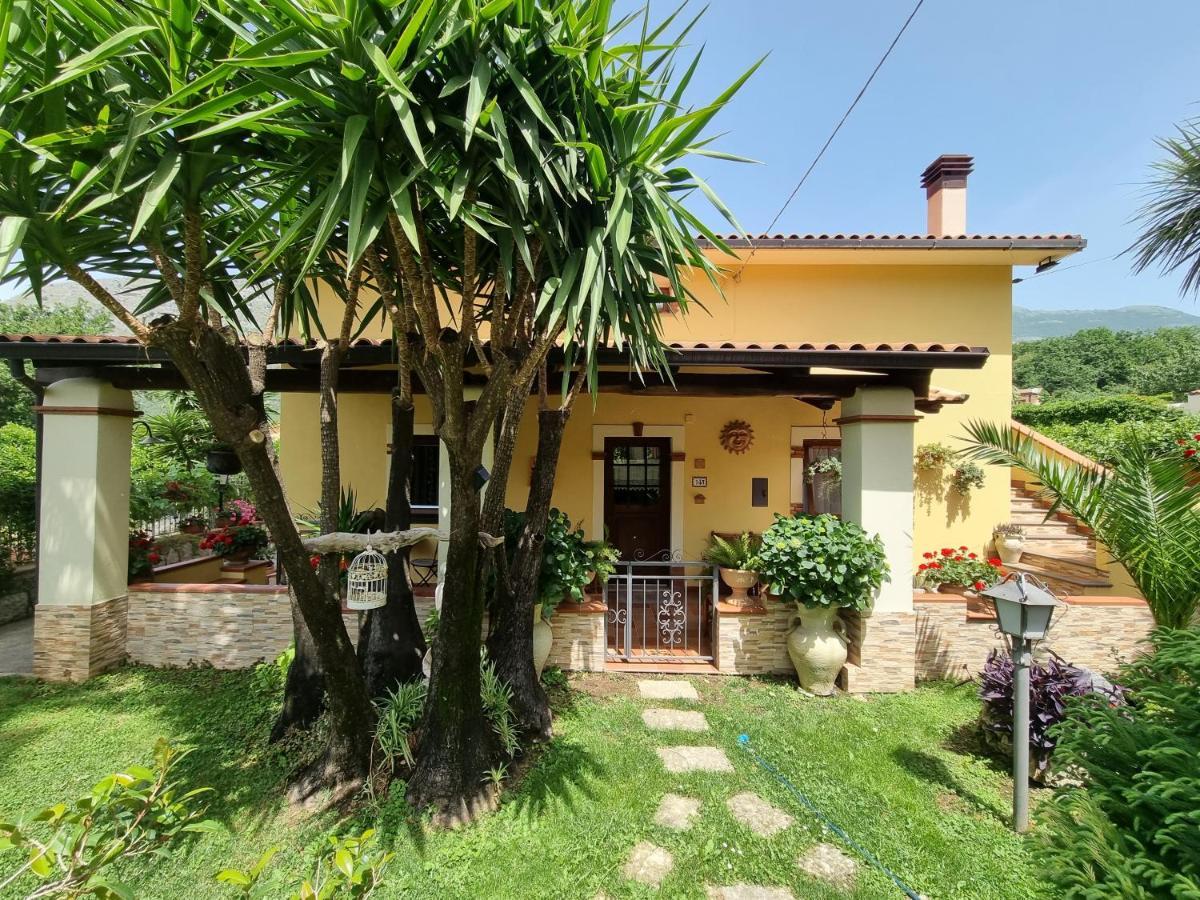 Il Ruscello Bed & Breakfast Maratea Ngoại thất bức ảnh