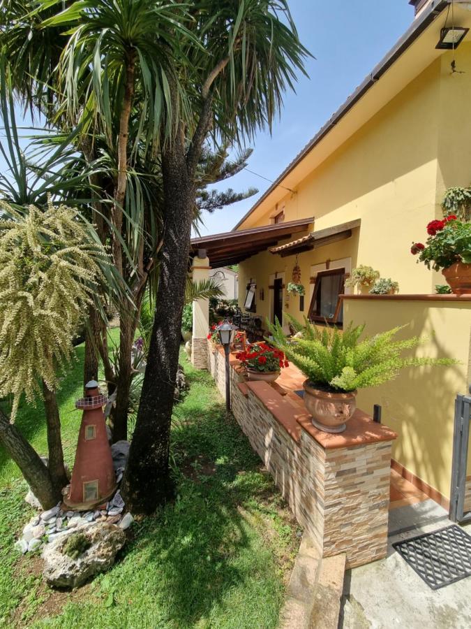 Il Ruscello Bed & Breakfast Maratea Ngoại thất bức ảnh