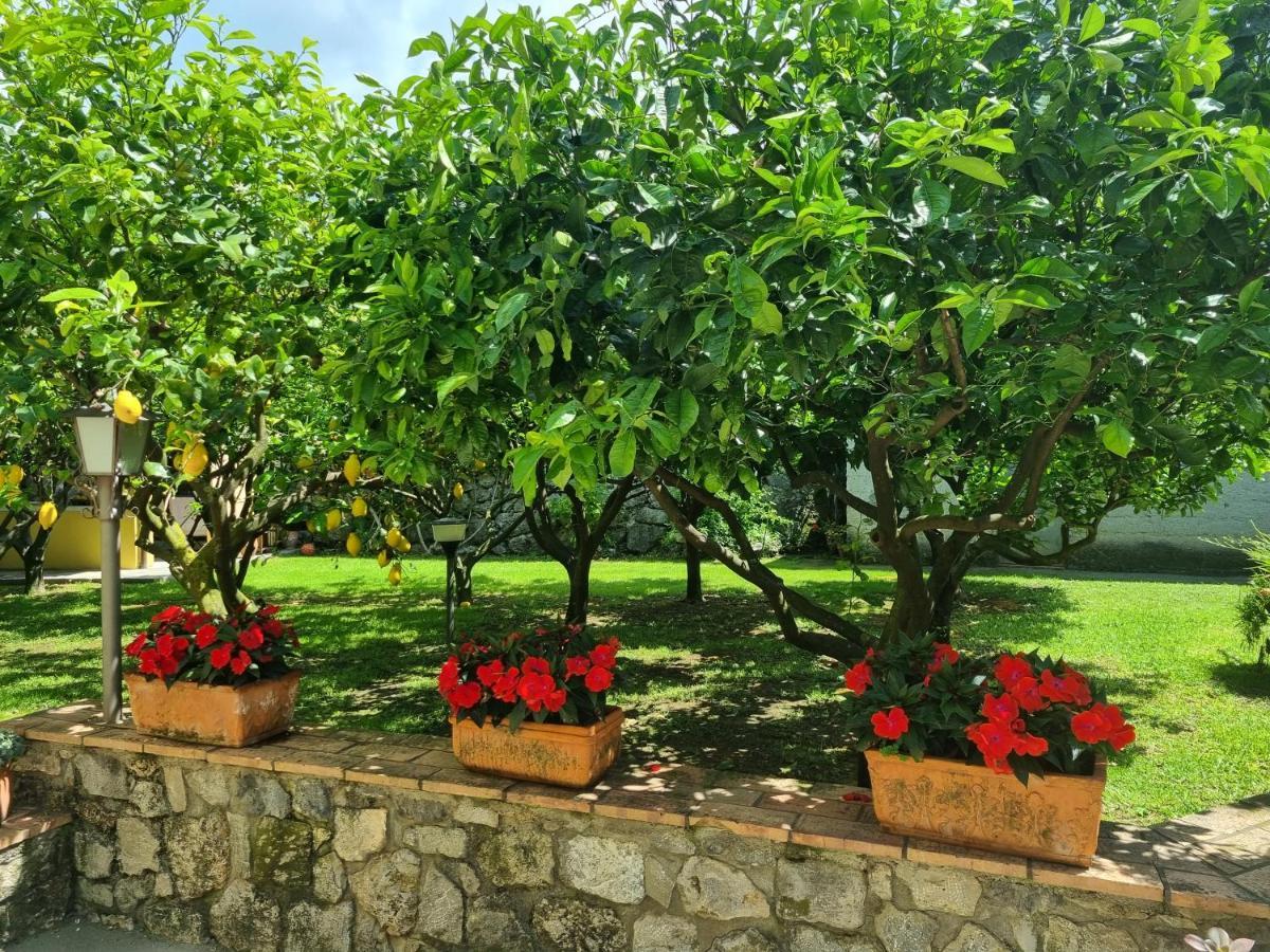Il Ruscello Bed & Breakfast Maratea Ngoại thất bức ảnh