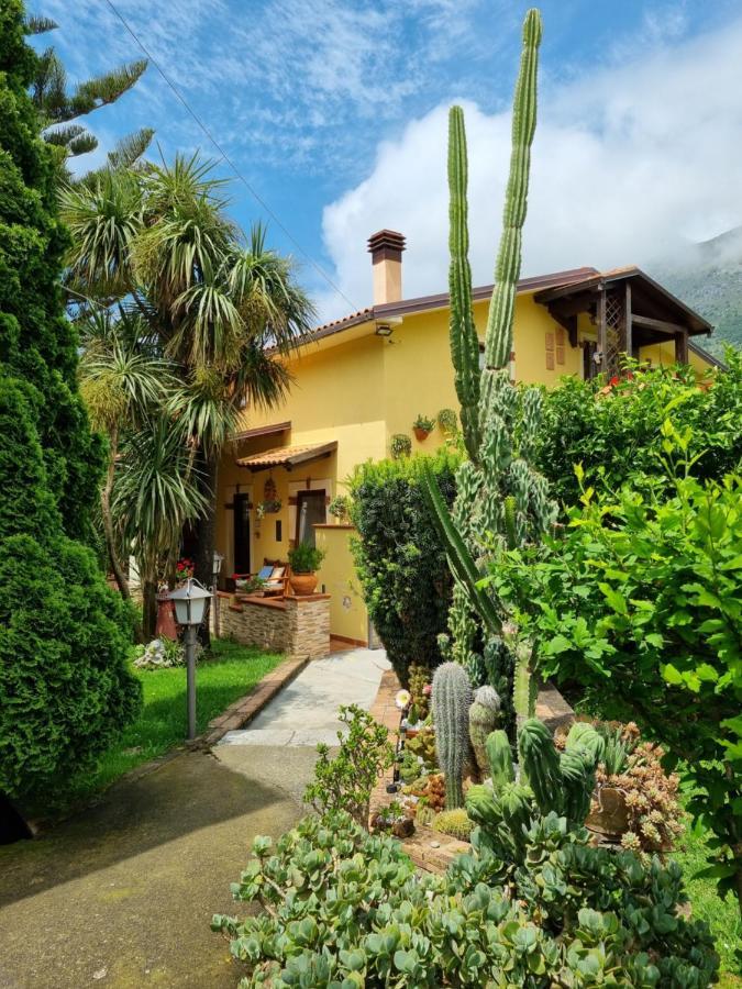 Il Ruscello Bed & Breakfast Maratea Ngoại thất bức ảnh
