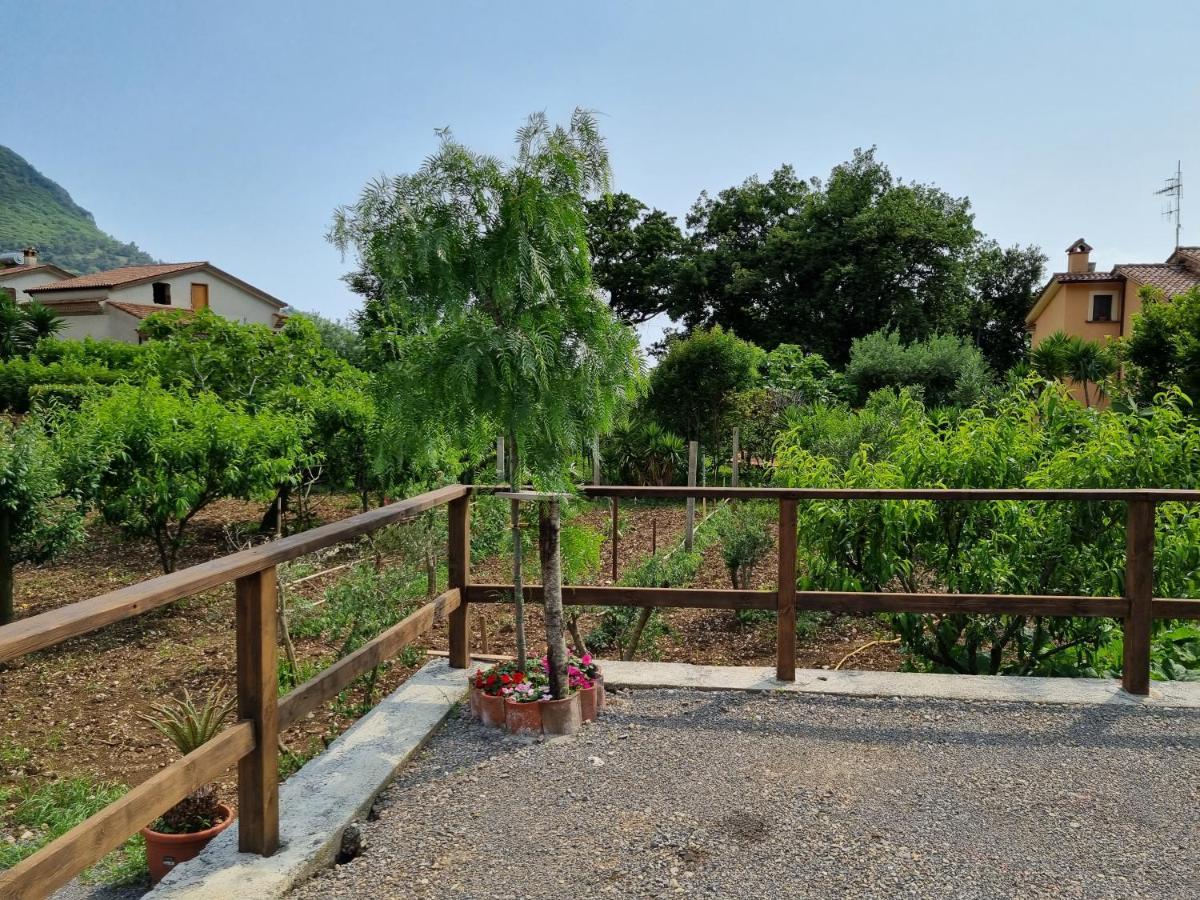 Il Ruscello Bed & Breakfast Maratea Ngoại thất bức ảnh